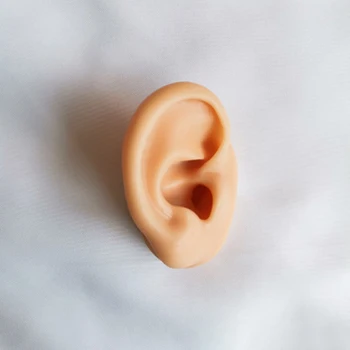 Silikonski Ušesni Model Umetnega Človeško Uho Zaslon Piercing Trgovina Okno, Ki Prikazuje Telo Nakit Za Sluha Slušalke Praksi