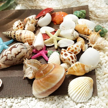 Shell Multicolor Mešanih Malih Morskih Školjk Akvarij Okraski Okraski Naravnih Mini Conch Fish Tank Dekoracijo Fotografija Rekviziti