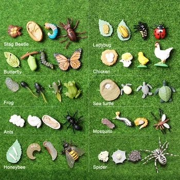 Plastične Živali, Žuželke, Rast Življenjskega Cikla Model Številke Želva,Metulj,Ladybug,Žaba,Čebelami,Mravlja,Pajek Izobraževalne igrače